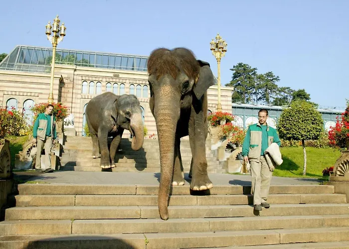 Remshalden * Remshalden